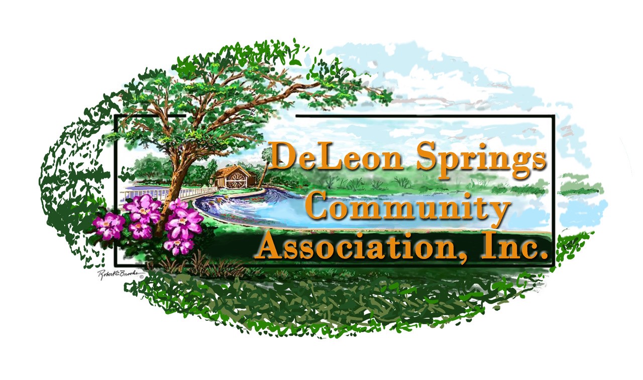 DSCA Logo updated