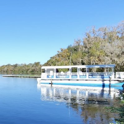 Take a Fountain of Youth Eco-History boat tour.